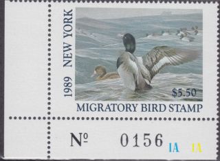 1989 York State Duck Stamp Never Hinged Vf photo