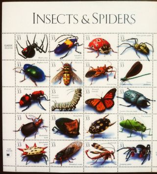 Insects Spiders 1999 First Class Stamp 33 Cents photo