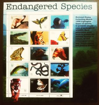 Endangered Species 1996 First Class Stamp 32 Cents photo
