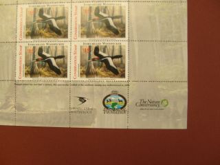 The Elusive Ivory - Billed Woodpecker - Conservation Stamp - Plate Block - photo