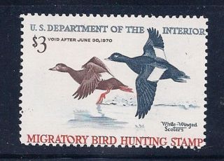 Rw36 1969 Federal Duck Stamp Ognh No Faults F - Vf @ebay Low $60bcv photo