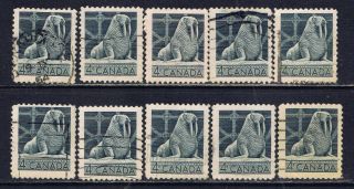 Canada 335 (1) 1954 4 Cent Gray Canadian Wildlife Walrus 10 photo