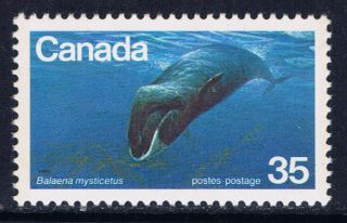 Canada 814 (1) 1979 35 Cent Endangered Wildlife Bowhead Whale photo