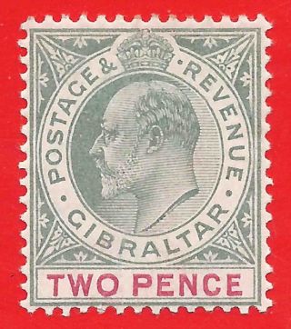 2d Grey - Green / Carmine Stamp 1903 Gibraltar King Edward Vii Sg48 photo