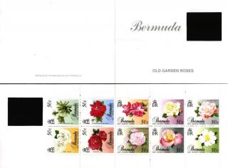 Old Garden Roses Complete Unexploded Booklet Bermuda 575a photo