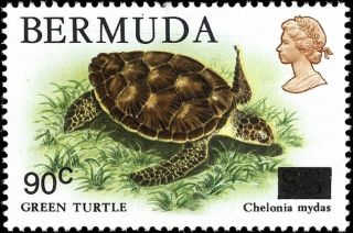 Revalued Overprinted Green Turtle Stamp Bermuda 509 photo