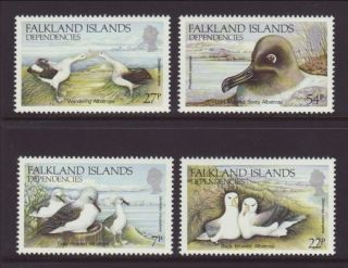 Falkland Island Dependencies Birds Il88 - 1l91 Vf (12992) photo