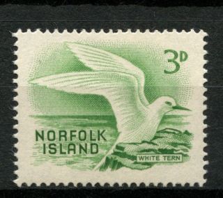 Norfolk Island 1960 - 2 Sg 26 3d Bird A50799 photo