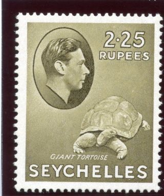 Seychelles 1942 Kgvi 2r25 Olive On Ordinary Paper.  Sg 148a. photo