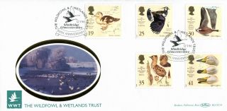 12 March 1996 Wildfowl And Wetlands Benham Blcs 114 First Day Cover Slimbridge photo