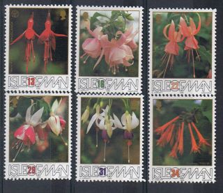 Isle Of Man 1988 Flowers: British Fushia Society - Nh photo