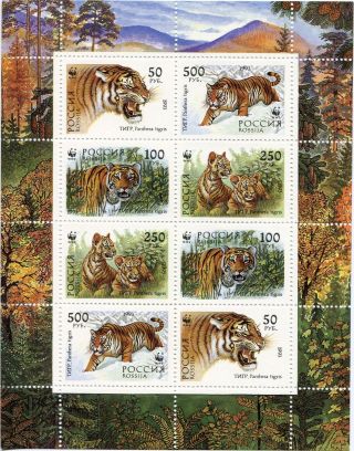 Ussr,  Russia,  1993,  Fauna,  Animals,  Tiger photo