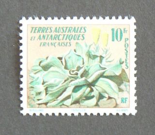 French Southern Antarctic Territory 11 Flowers Vf photo