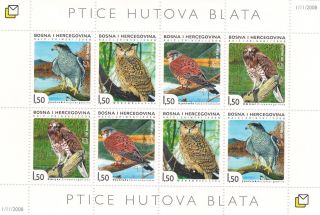 Birds Or Hutovo Swamp 2008 - Bosnia And Herzegovina,  Never Hinged photo
