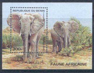Benin 779 Elephant photo