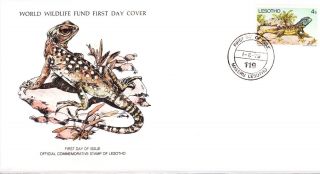 World Wildlife Fund First Day Cover - Lesotho - Agama Atra - Lizard - Issue No 119 photo