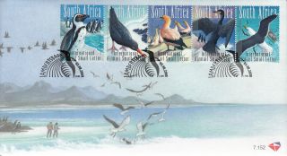 South Africa 2009 Fdc Sea & Coastal Birds 5v Strip Cover Penguin Gannet Seagull photo