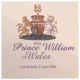 Fdc : - Fabulous Guernsey 2003 Hrh Prince William Of Wales 21st Birthday Fdc Africa photo 1