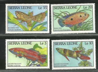 Sierra Leone 959 - 62 Fish photo