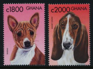 Ghana 2201 - 3 Dogs photo
