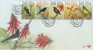 South Africa 2012 Fdc Smallest Sunbirds 5v Strip Cover Birds Dusky Sunbird photo