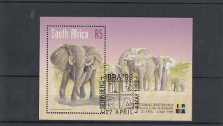 South Africa 1999 Cto Ibra 99 Int Stamp Exhibition Nuremburg Sg Ms1119 Elephant photo