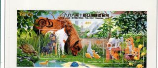 Australia.  Pets.  Asian International Philatelic Exhibition 1996. photo