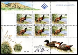 Zealand Duck Stamp 1994 - Governor General ' S Edition - Hand - Signed S/s Of 6 photo
