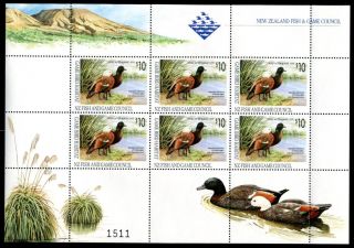 Zealand Duck Stamp - First Of Country - 1994 - Souvenir Sheet Of 6 photo