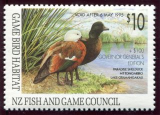 Zealand Duck Stamp - First Of Country - 1994 - Governor General ' S Edition photo