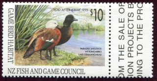 Zealand Duck Stamp - First Of Country - 1994 photo