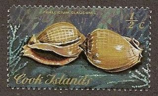Cook Islands Scott 381,  Shells,  Phallicium Glaucum, ,  Fg,  Nh,  1974 - 1975 photo