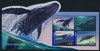 Australia 2537a Whales photo