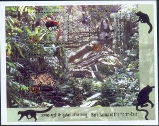 India 2009 Rare Fauna Marbled Cat Red Panda Leaf Monkey 3v Ss Environment photo