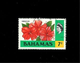 Bahamas 319 Hibiscus Flower / Queen Elizabeth photo