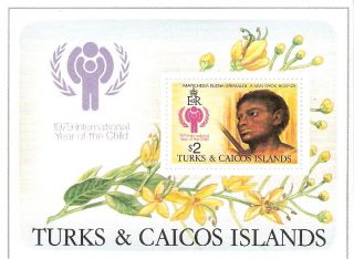 Turks And Caicos 1979 Year Of The Child S/s (sc 390) photo