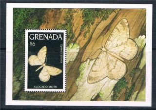 Grenada 1993 Moths Ms Sg 2508a photo
