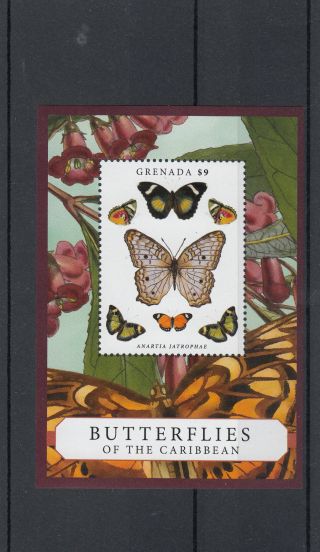Grenada 2013 Butterflies Of The Caribbean 1v Sheet Anartia Jatrophae Insects photo