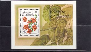 Antigua & Barbuda 1984 Flowers Souvenir Sheet Scott 759 photo