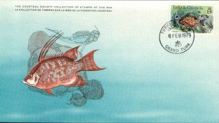 (15543) Hogfish - Cousteau Cover - Turks And Caicos 1979 photo