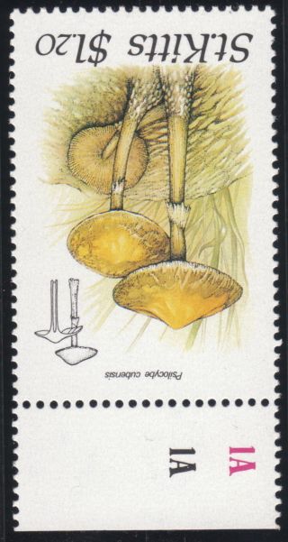 St Kitts & Nevis 1987 Er11 Sg243w Pristine Inverted Wmk Stamp Fungei photo