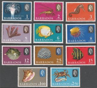 Barbados.  1965 Marine Life.  11 Mh Values To $2.  50.  B2008 photo