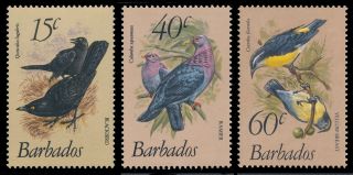 Barbados 1982 Scott 570 - 572 (sg 627a,  631b,  633b) Birds Mlh /mnh Cv$18 photo