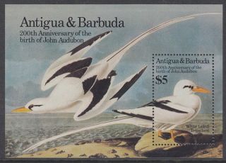 Antigua - 1985 Audubon (1st Issue) Ms Um / photo
