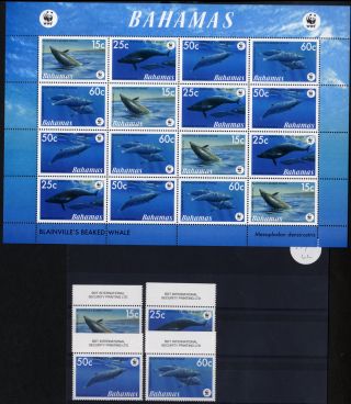 Bahamas2007 Wwf Endangered Species Blainville ' S Whale.  Sg 1449 + Sheet Um/mnh photo