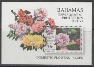 Bahamas Sgms1154 1998 Roses photo