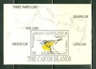 Turks & Caicos Islands - Caicos Scott 64 Birds Audubon Map Cv$6.  25 photo
