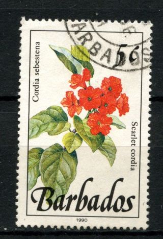 Barbados 1989 - 1992 Sg 922,  5c Wild Plants Definitive 