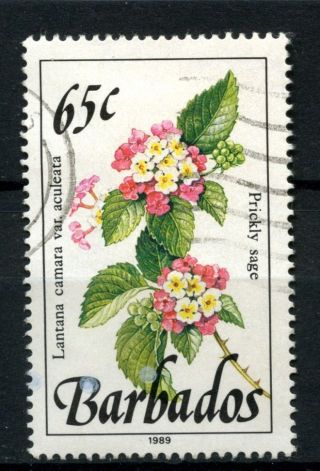 Barbados 1989 - 1992 Sg 899,  65c Wild Plants Definitive 