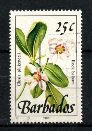 Barbados 1989 - 1992 Sg 925,  25c Wild Plants Definitive 
